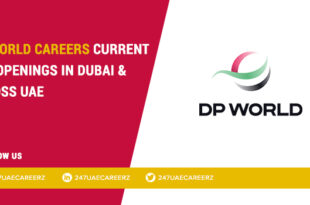 DP World Careers 2026 | Operations Coordinator Maritime Logistics Jobs Dubai UAE